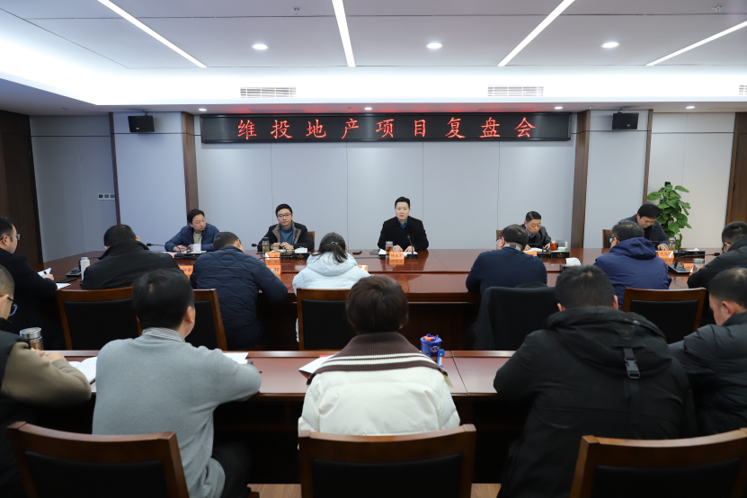 錘煉核心競爭力 打造區(qū)域領先地產國企標桿——維投地產召開項目復盤會